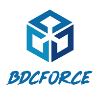 BD Force Consulting